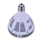 TheraBulb 25W LED Infrared Bulb