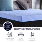 12" Refresh Hybrid Cooling Fast Responding Latex Foam And Coil Mattress