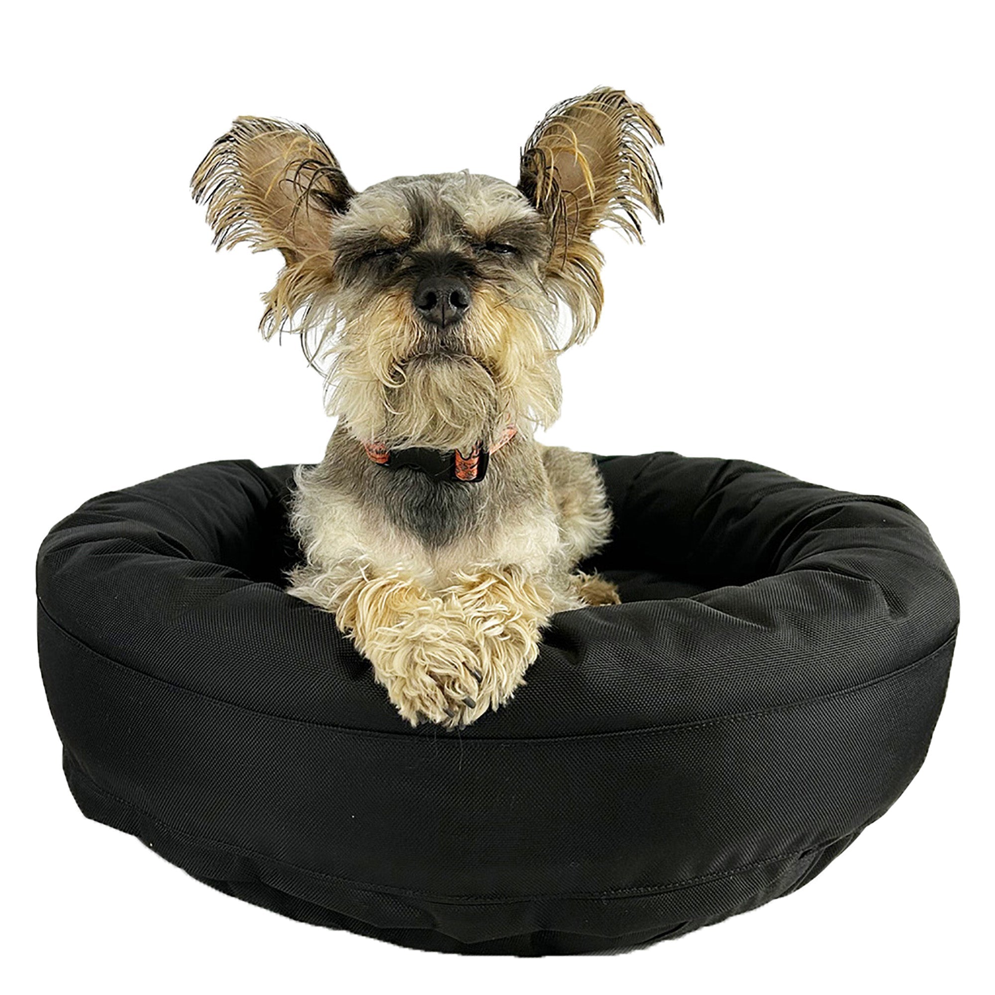 Dog Bed