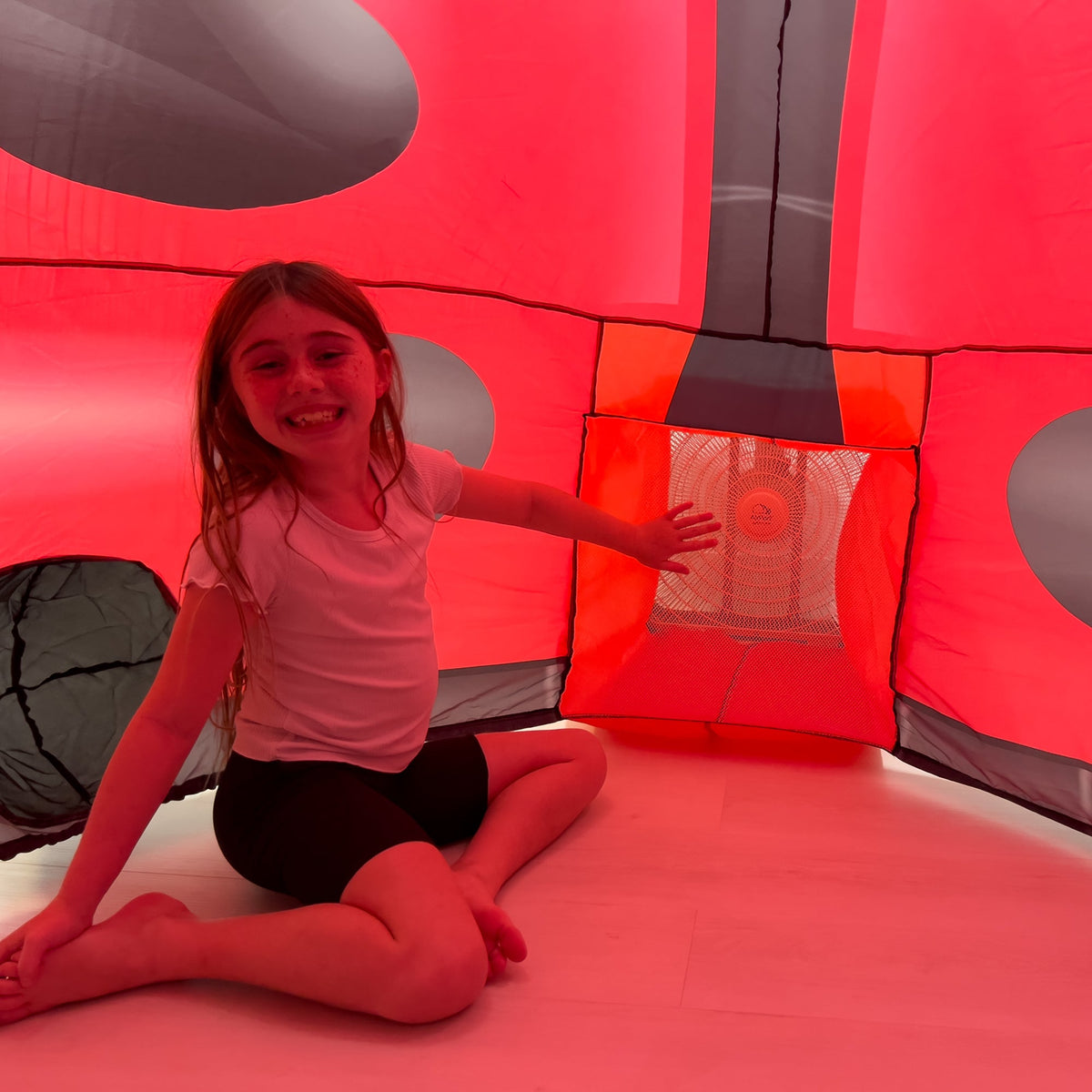 The Original AirFort - Ladybug