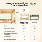 Solid Wood Kids Bunk Bed