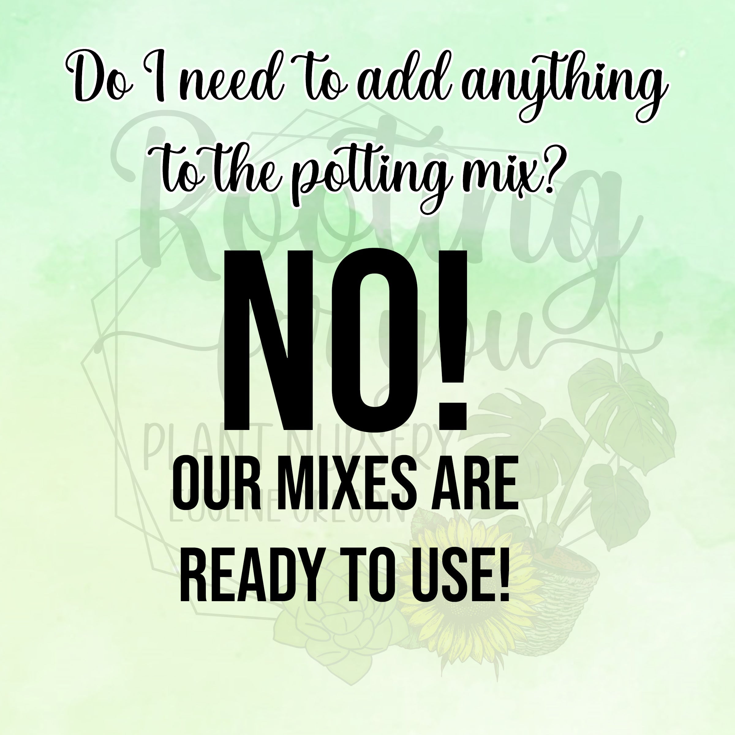 Alocasia - Colocasia - Caladium Premium Potting Mix