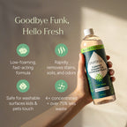 Carpet & Upholstery Shampoo