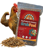 GrubFuel - Black Soldier Fly Larvae for chickens