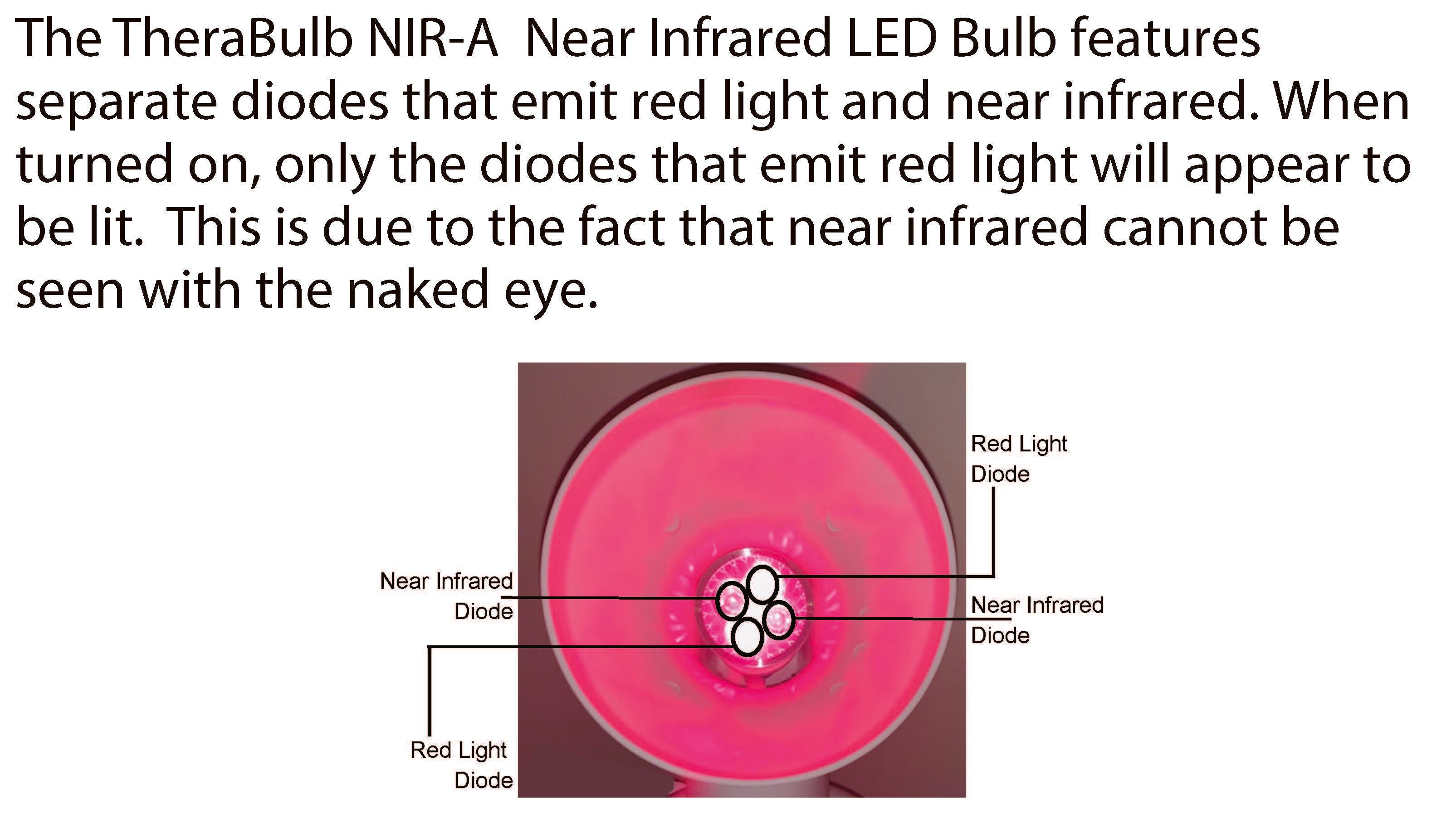 NIR-A Near Infrared LED Bulb (110V - 240V)