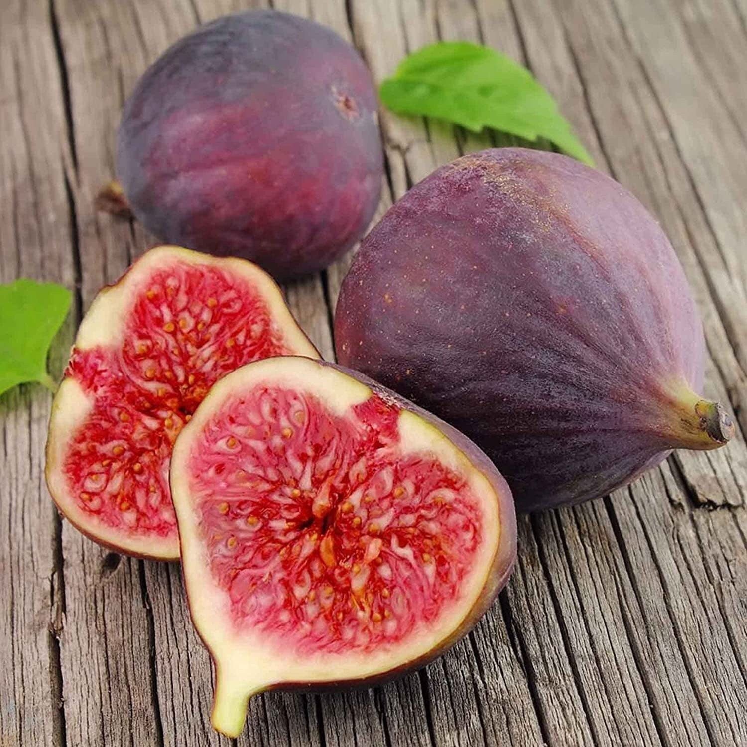 Ficus Carica Fig - 100 Seeds - Sweet Fruit Shrub Tree