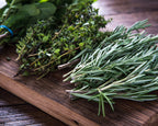 Garden Herb Plants Collection Rosemary Sage Oregano Thyme Quart Pots