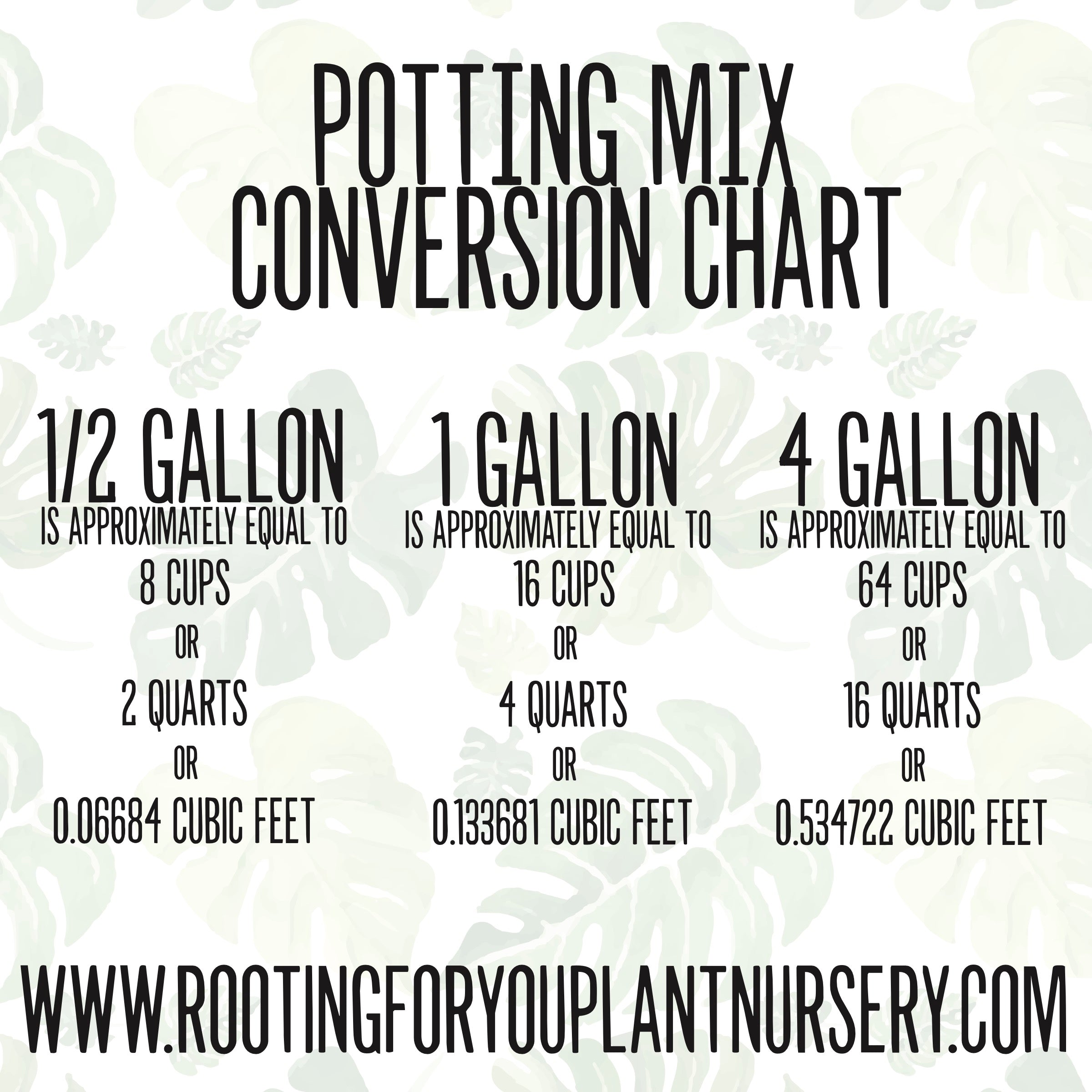 Alocasia - Colocasia - Caladium Premium Potting Mix